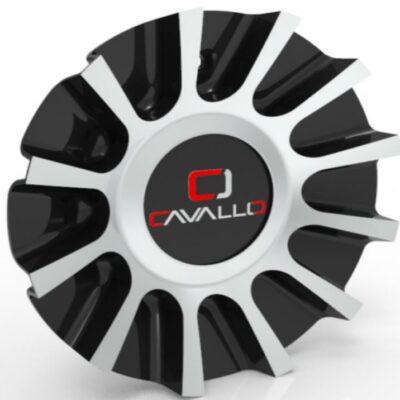 C243L176S-C